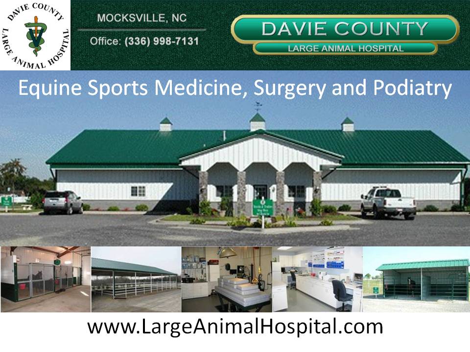 Davie County Large Animal Hospital | Equinosis Q User
