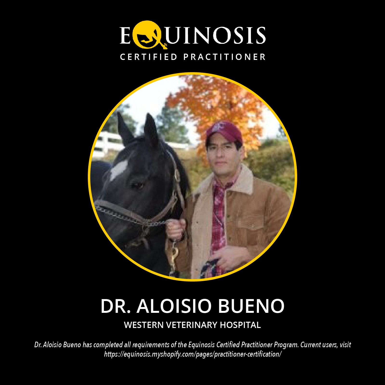 Innovation at Alamo Pintado Equine Medical Center