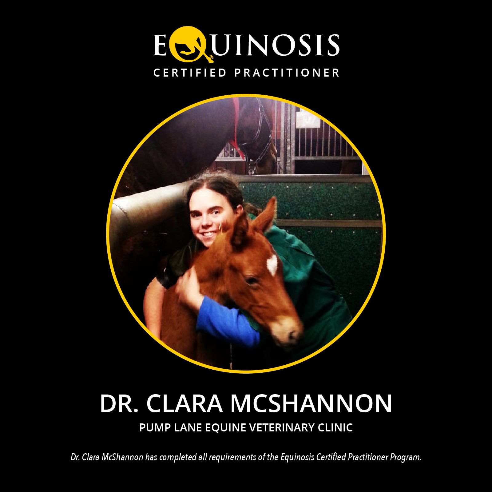 Clara Mcshannon Dvm Mrcvs Of Pump Lane Equine Clinic