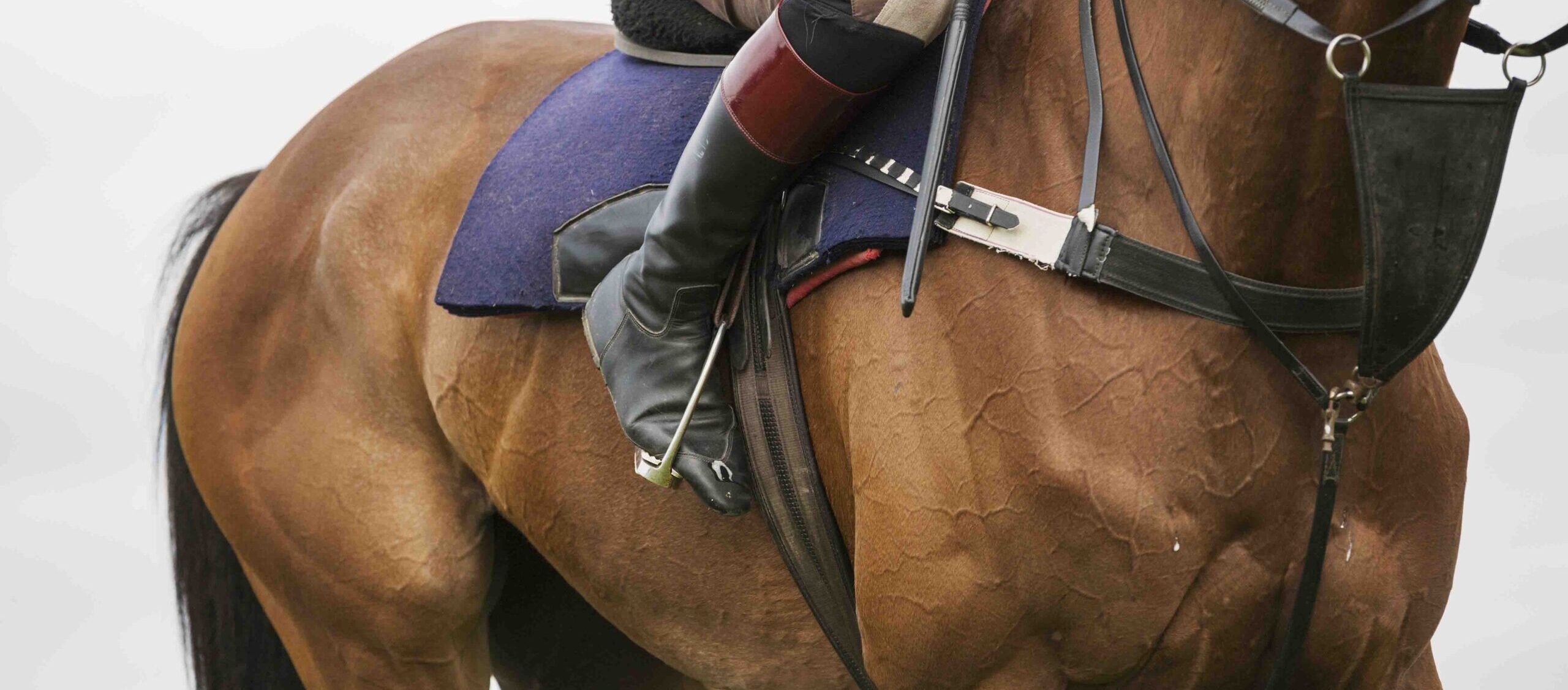 Close up of a rider wearing black riding boots riding a bay racehorse with short stirrups.