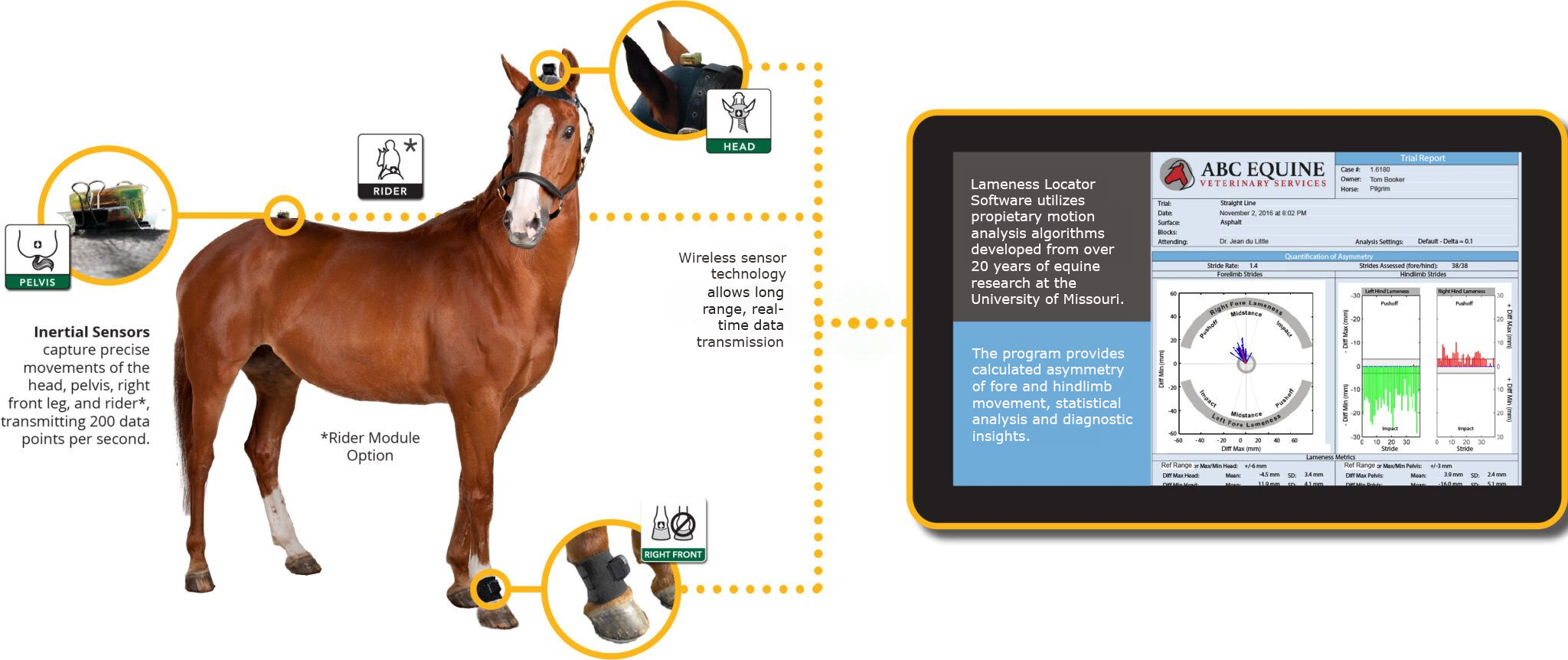 Quantify equine lameness