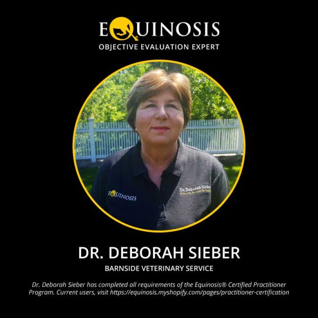 Deborah Sieber Bvetmed Equinosis